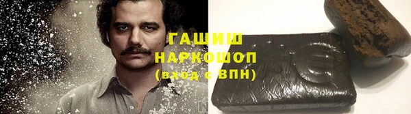 хмурый Бородино