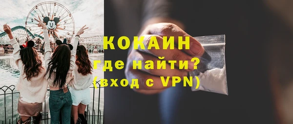 хмурый Бородино