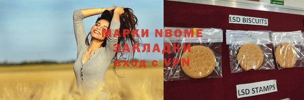 хмурый Бородино