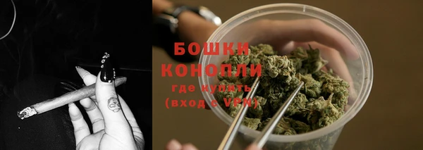 хмурый Бородино