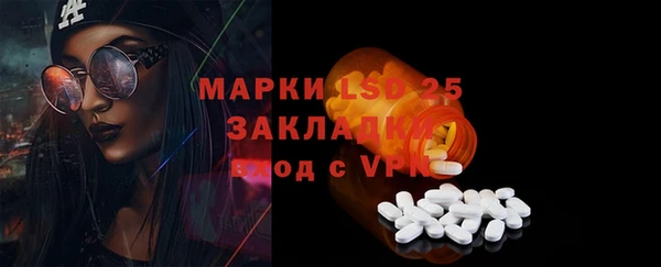 хмурый Бородино
