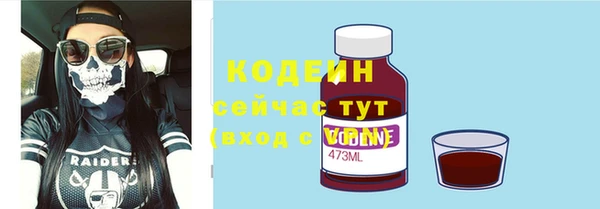 хмурый Бородино