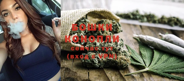 хмурый Бородино