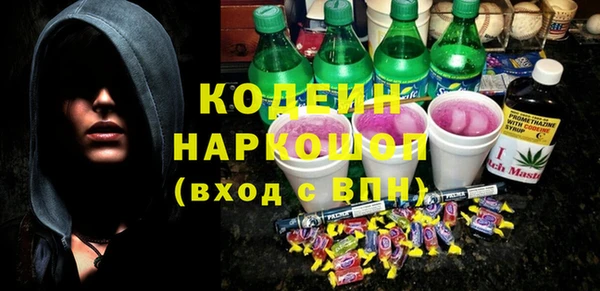 хмурый Бородино