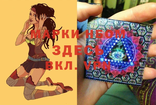 хмурый Бородино